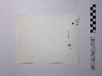 黃則修攝野柳地景藏品圖，第2張