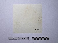 黃則修攝野柳地景藏品圖，第2張