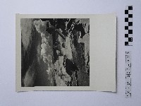 黃則修攝野柳地景藏品圖，第1張