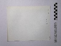 黃則修攝野柳地景藏品圖，第2張