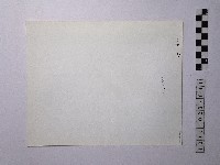 黃則修攝野柳地景藏品圖，第2張