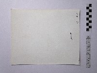 黃則修攝野柳地景藏品圖，第2張