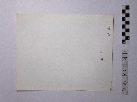 黃則修攝野柳地景藏品圖，第2張