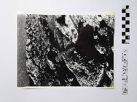 黃則修攝野柳地景藏品圖，第1張