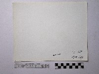 黃則修攝野柳地景藏品圖，第2張