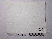 黃則修攝野柳地景藏品圖，第2張
