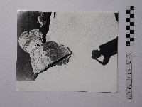 黃則修攝野柳地景藏品圖，第1張