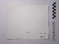 黃則修攝野柳地景藏品圖，第2張