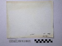 黃則修攝野柳地景藏品圖，第2張