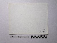 黃則修攝野柳地景藏品圖，第2張