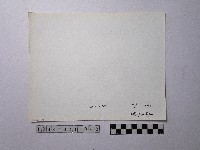 黃則修攝野柳地景藏品圖，第2張