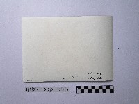 黃則修攝野柳地景藏品圖，第2張