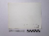 黃則修攝野柳地景藏品圖，第2張