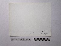 黃則修攝野柳地景藏品圖，第2張