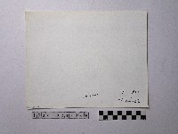 黃則修攝野柳地景藏品圖，第2張