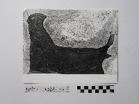 黃則修攝野柳地景藏品圖，第1張