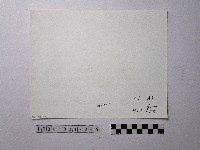 黃則修攝野柳地景藏品圖，第2張