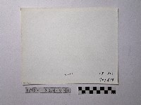 黃則修攝野柳地景風化紋藏品圖，第2張