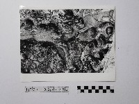 黃則修攝野柳地景風化紋藏品圖，第1張