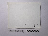 黃則修攝野柳地景風化紋藏品圖，第2張