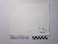 黃則修攝野柳地景風化紋藏品圖，第2張