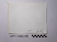 黃則修攝野柳地景藏品圖，第2張