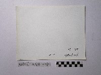 黃則修攝野柳地景藏品圖，第2張