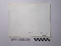 黃則修攝野柳地景藏品圖，第2張