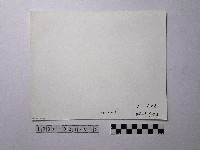 黃則修攝野柳地景藏品圖，第2張