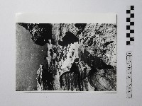 黃則修攝野柳地景藏品圖，第1張