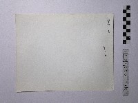 黃則修攝野柳地景藏品圖，第2張