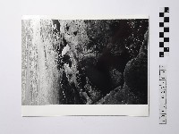 黃則修攝野柳地景藏品圖，第1張