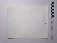 黃則修攝野柳地景藏品圖，第2張