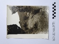 黃則修攝野柳地景藏品圖，第1張