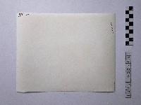 黃則修攝野柳地景藏品圖，第2張