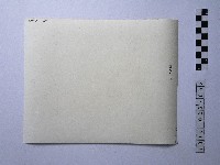 黃則修攝野柳地景藏品圖，第2張