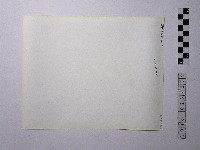 黃則修攝野柳地景藏品圖，第2張