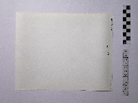 黃則修攝野柳地景藏品圖，第2張