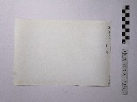 黃則修攝野柳地景藏品圖，第2張