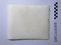黃則修攝野柳地景藏品圖，第2張