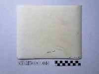 黃則修攝野柳地景燭臺石藏品圖，第2張