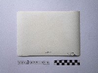 黃則修攝野柳地景藏品圖，第2張