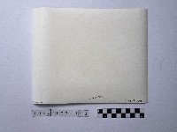 黃則修攝野柳地景藏品圖，第2張