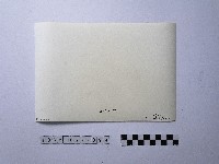 黃則修攝野柳地景藏品圖，第2張