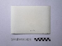 黃則修攝野柳地景藏品圖，第2張