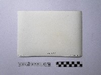 黃則修攝野柳地景藏品圖，第2張