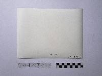 黃則修攝野柳地景藏品圖，第2張