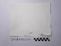 黃則修攝野柳地景藏品圖，第2張