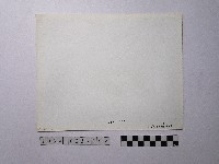 黃則修攝野柳地景藏品圖，第2張