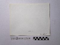 黃則修攝野柳地景藏品圖，第2張